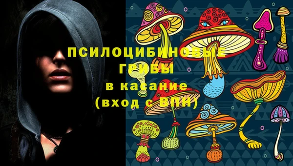 не бодяженный Беломорск