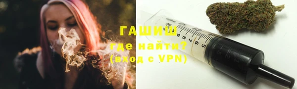 гидра Богородицк