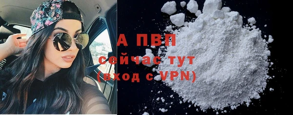 Альфа ПВП Богородск