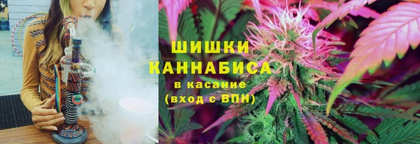 твердый Тында