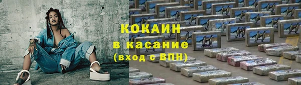 крисы Туринск