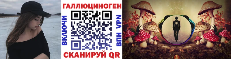 Псилоцибиновые грибы Psilocybine cubensis  Купино 